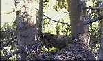 http://images50.fotosik.pl/131/a04c8f4fcef4f0f8m.jpg