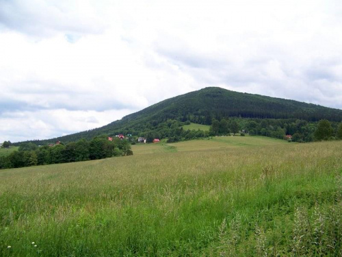 Obrazek
