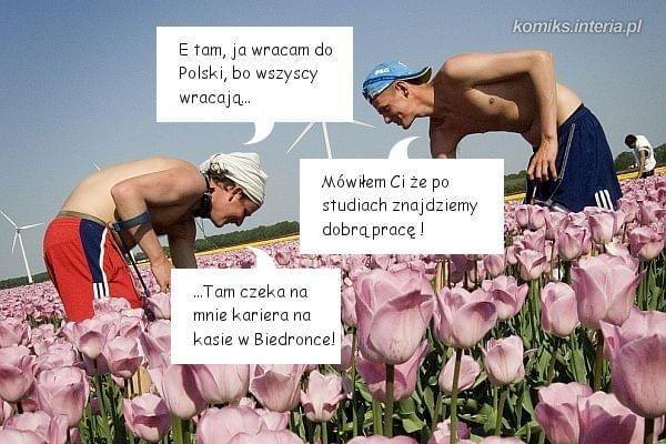 Obrazek