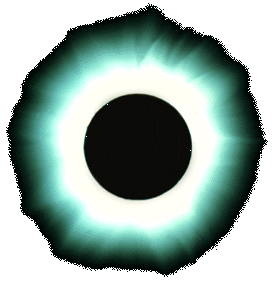 82bfbf1d31316bd3.gif
