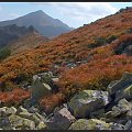 Tatry