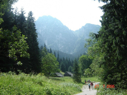 Krajobraz górski w Tatrach #góry #Tatry #przyroda