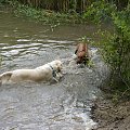 Brutus i Zoja, Choszczówka, lipiec 2011