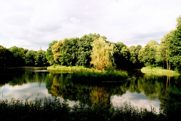 Rudy Raciborskie #rudy #park #sanktuarium