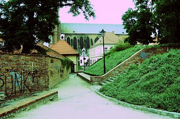 Natura 2010/2011 #rosliny #widok #zwierzeta