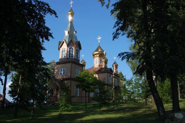 białowieża 2011