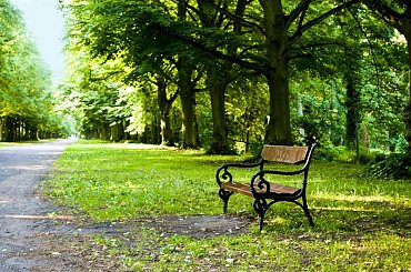 lato #jesień #kaczka #lato #moda #morze #portret #wakacje #wiosna #zima