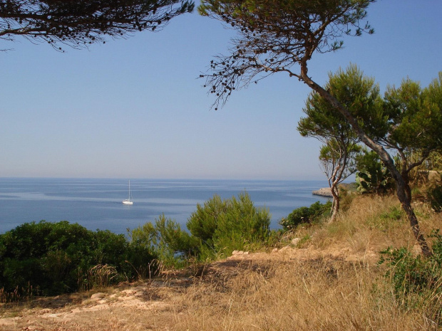 Lato na Majorce #lato #Majorka #morze #wakacje