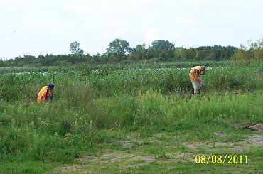 #Gryfice #Gryficka #Kolej #Lxd2 #Nadmorska #Niechorze #Pogorzelica #Remont #Rewitalizacja #Wąskotorowa