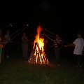 Lipiny 2011