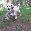 Szaleństwa Rika ;D