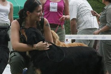 CIRYS znad Rzeki Maskawy CACIB Kraków #BEZA #CIRYSZnadRzekiMaskawy #Hovawart