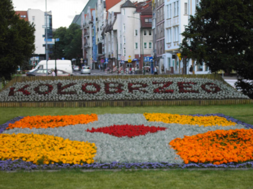 w parku #Kołobrzeg #miasto #kwiaty