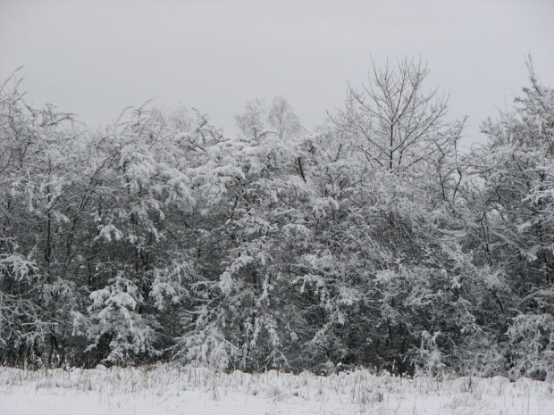 Zima na przedwiośniu #śnieg