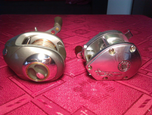 Quantum Shaw Grigsby Bantam 100