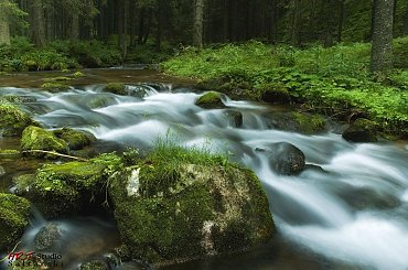 Gdyby tak ktoś pytał to zdjącie wykonane zostało w Polskich Tatrach. #Naris #Strumień #Widoki #Woda
