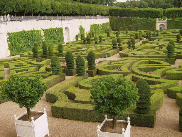 ogrody na zamku Vilandry, Francia