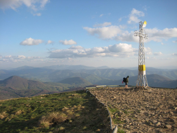 Tarnica