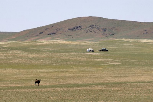 Gobijski obrazek #mongolia #gobi