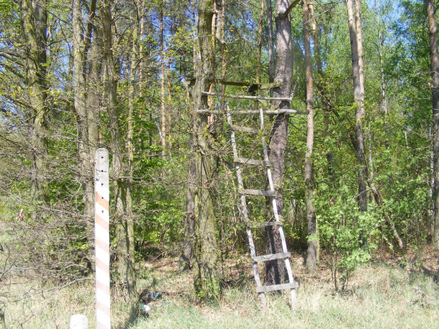 Trochę skromna wartownia . Jadąc wzdłuż lasu polami do Wegrzynowic.