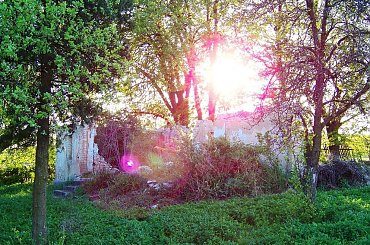 #dom #natura #przyroda #rudera #słońca #słońce #zachód