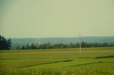 wieże kościoła w Lubochni widoczne z odległości 26 km z Góry Sławno (268 m) k.Opoczna #Lubochnia #GóraSławno #kościół #wieże #las