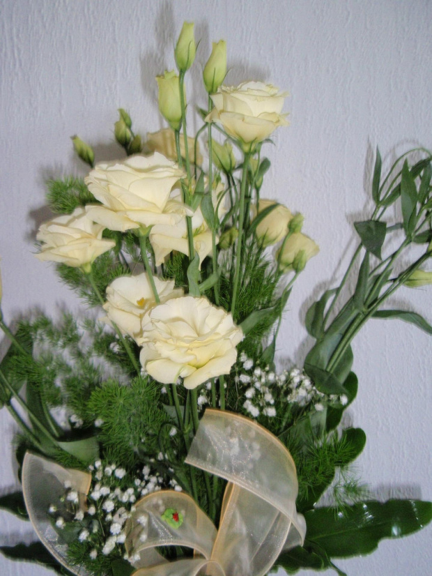 Eustoma