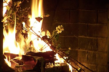 domowe ognisko #ogień #płomienie