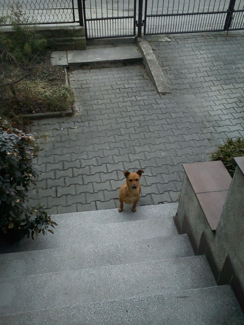 na schodach :-)