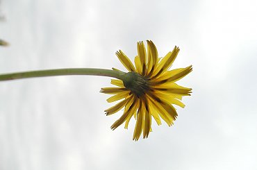 przyroda #przyroda #PoraRoku #fotograf