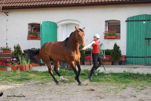 2009.05.21 Trening w Stodołach