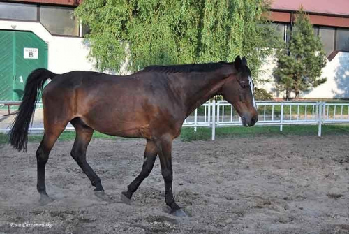 2009.05.21 Trening w Stodołach