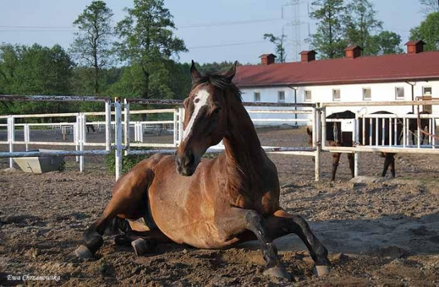 2009.05.21 Trening w Stodołach