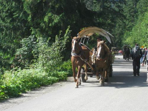 droga nad morskie oko