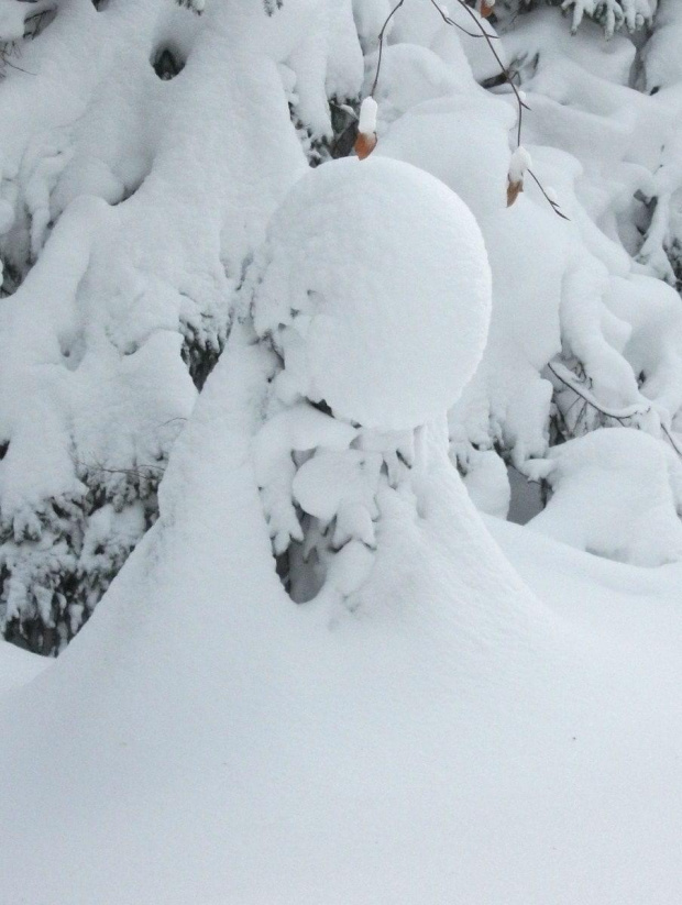 "Obcy"??? #Karkonosze #zima #śnieg #szadź