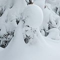 "Obcy"??? #Karkonosze #zima #śnieg #szadź
