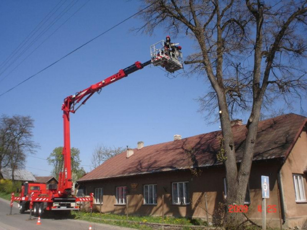 wycinka lipy w Zręcinie przy ul. Koscielnej