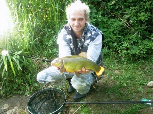 tench