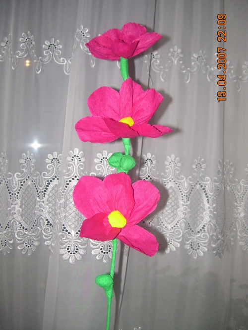 #KwiatyZBibuły #bibuła #krepina #dekoracje #hobby #KompozycjeKwiatowe #MojePrace #pomysły