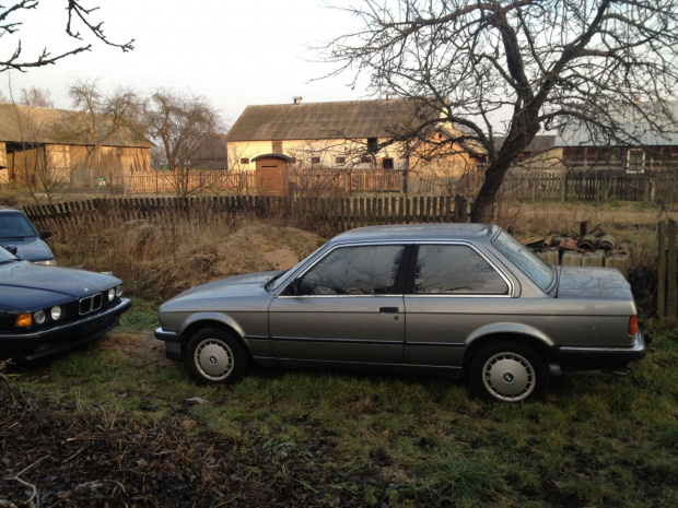 325e /87 #KaktusE30Sport