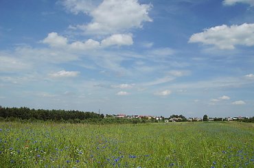 widoki z działki #ciepło #dojrzewanie #drzewka #działka #kwiatki #lato #macro #natura #ogrod #ogród #owoce #OwoceNatury #piękno #plony #roslinnosc #roslinność #rosliny #rozkwit #wieś #wioska #wiosna #zbiory #niebo