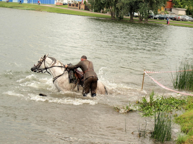 IX Piknik Kawaleryjski w Suwałkach #konie #PiknikKawaleryjski #Suwałki #kawaleria