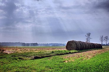 i dla odmiany krajobraz #krajobraz #idok #wiosna #pola #łąki