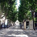 Palma de Mallorca - ulica La Rambla, to nie jedyny związek Palmy z Barceloną :) #Majorka #PalmaDeMallorca