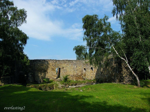 Ruiny zamku sądeckiego