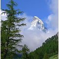 Matterhorn widziany z Zermatt. Szwajcaria