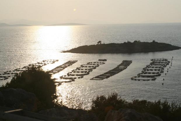 Droga: Lotnisko - Bodrum - Akyariar