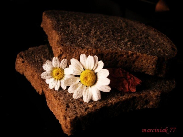 Kolacja... dietetyczna :-))) #kwiaty #chleb #makro
