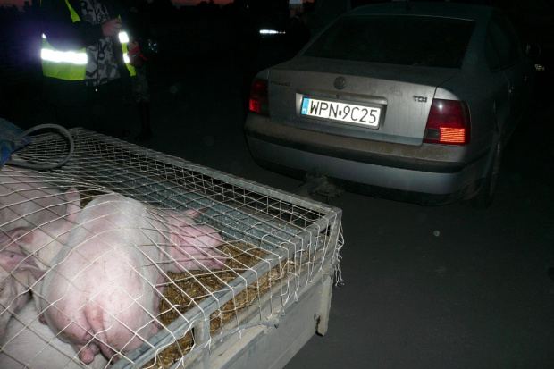 sochaczew targ piekło na ziemi