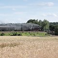 parowóz OL 49, trasa Poznań - Wolsztyn, Szreniawa, 12.07.2009 #Dampfeisenbahn #Dampflok #Eisenbahn #kolej #kolejnictwo #lokomotywa #lokomotywy #OL49 #OL49PKP #parowozy #parowóz #pociąg #PojazdySzynowe #Szreniawa #Train #Zug